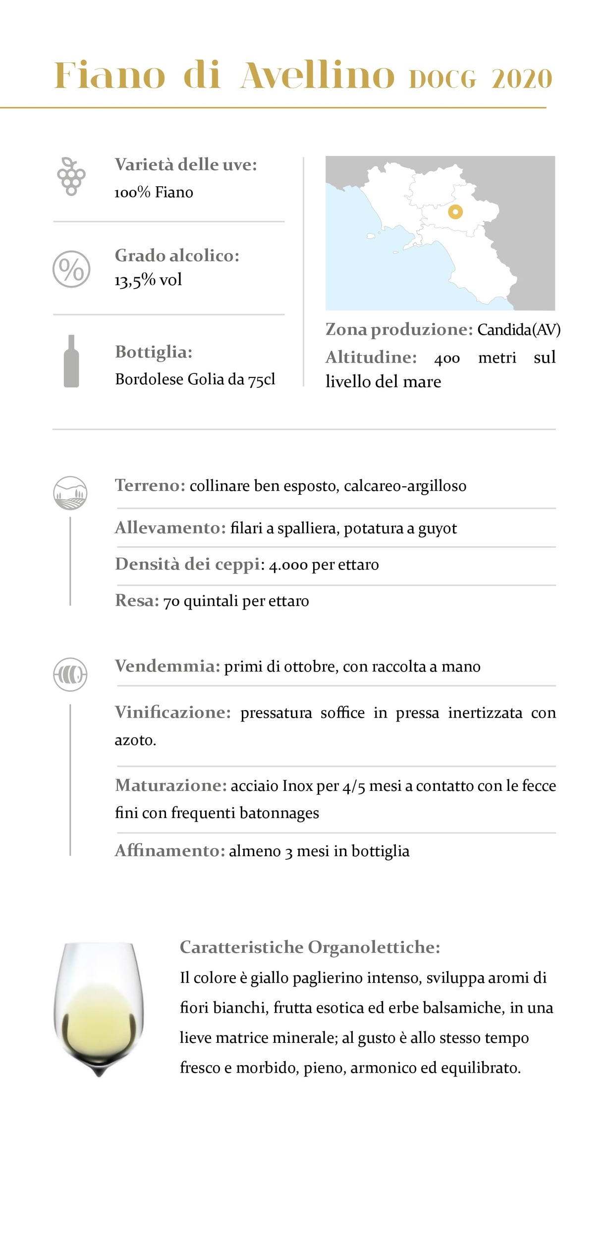 fiano di avellino novaneve 2020